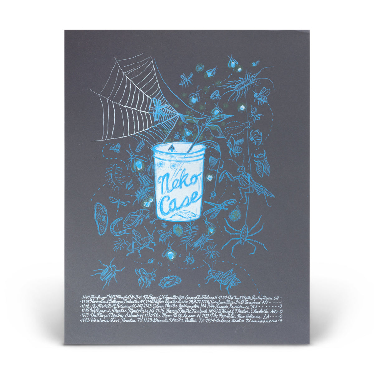 2009 Winter Tour Print