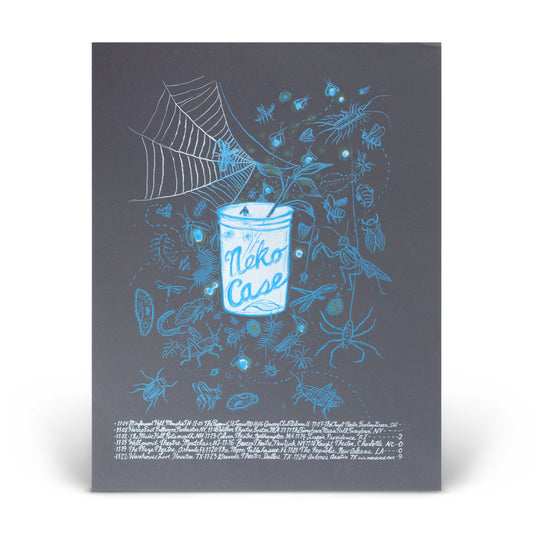 2009 Winter Tour Print